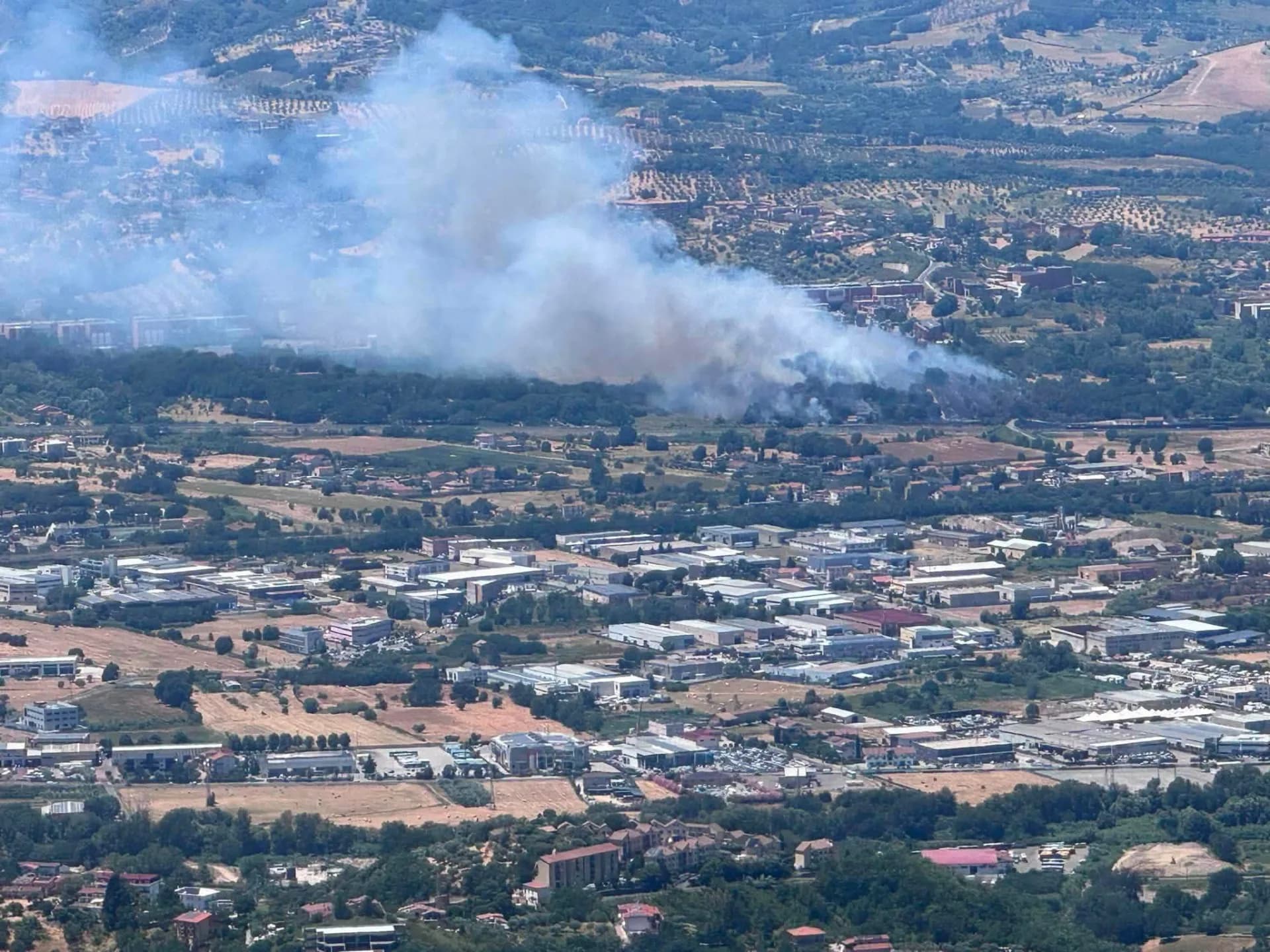 Incendio tra Unical e autostrada, fumo visibile in tutta l’area universitaria