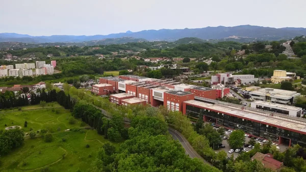 All'Unical un meeting internazionale su neurochirurgia e AI