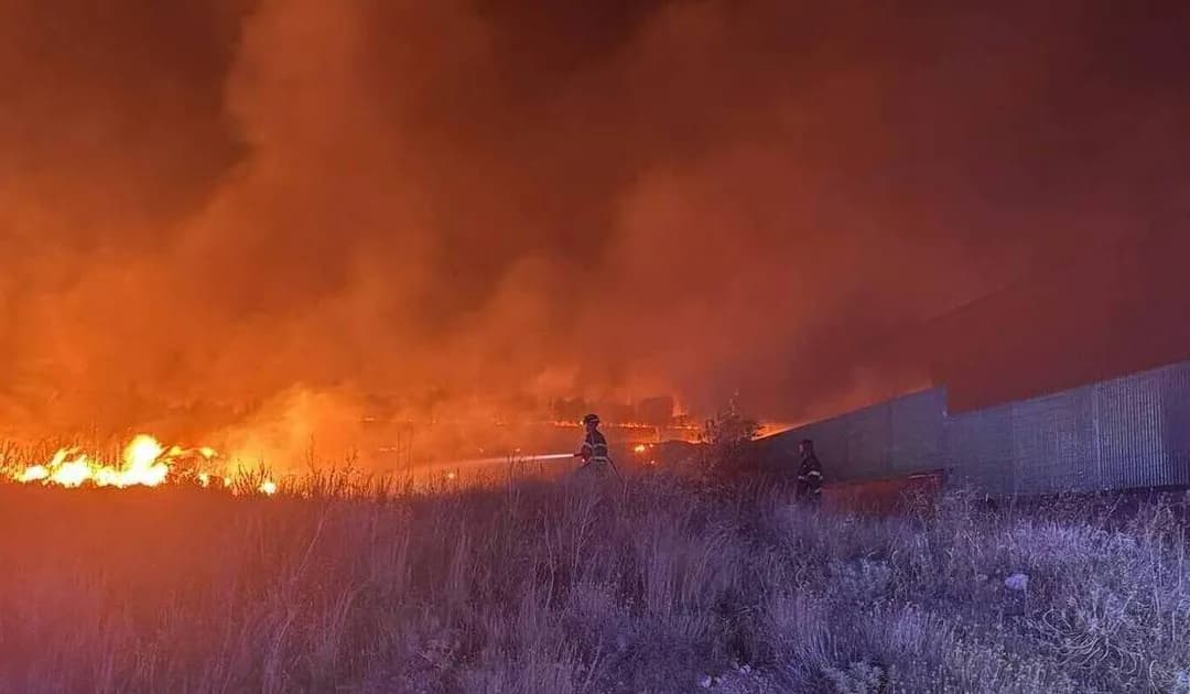 Calabria in fiamme, l’orrore dei gatti usati come inneschi: «Chi sa parli»