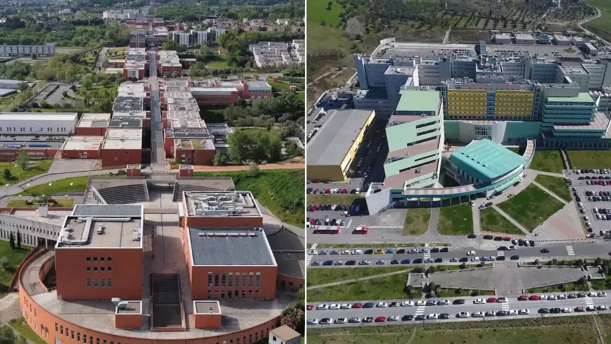 UniCal, nuovo corso di Formazione Primaria con la Magna Graecia