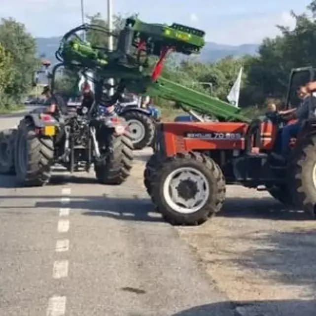 immagine modificata