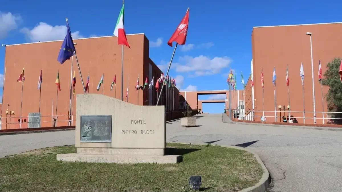 L'Università della Calabria fa il record: 100 docenti Unical tra i migliori scienziati al mondo
