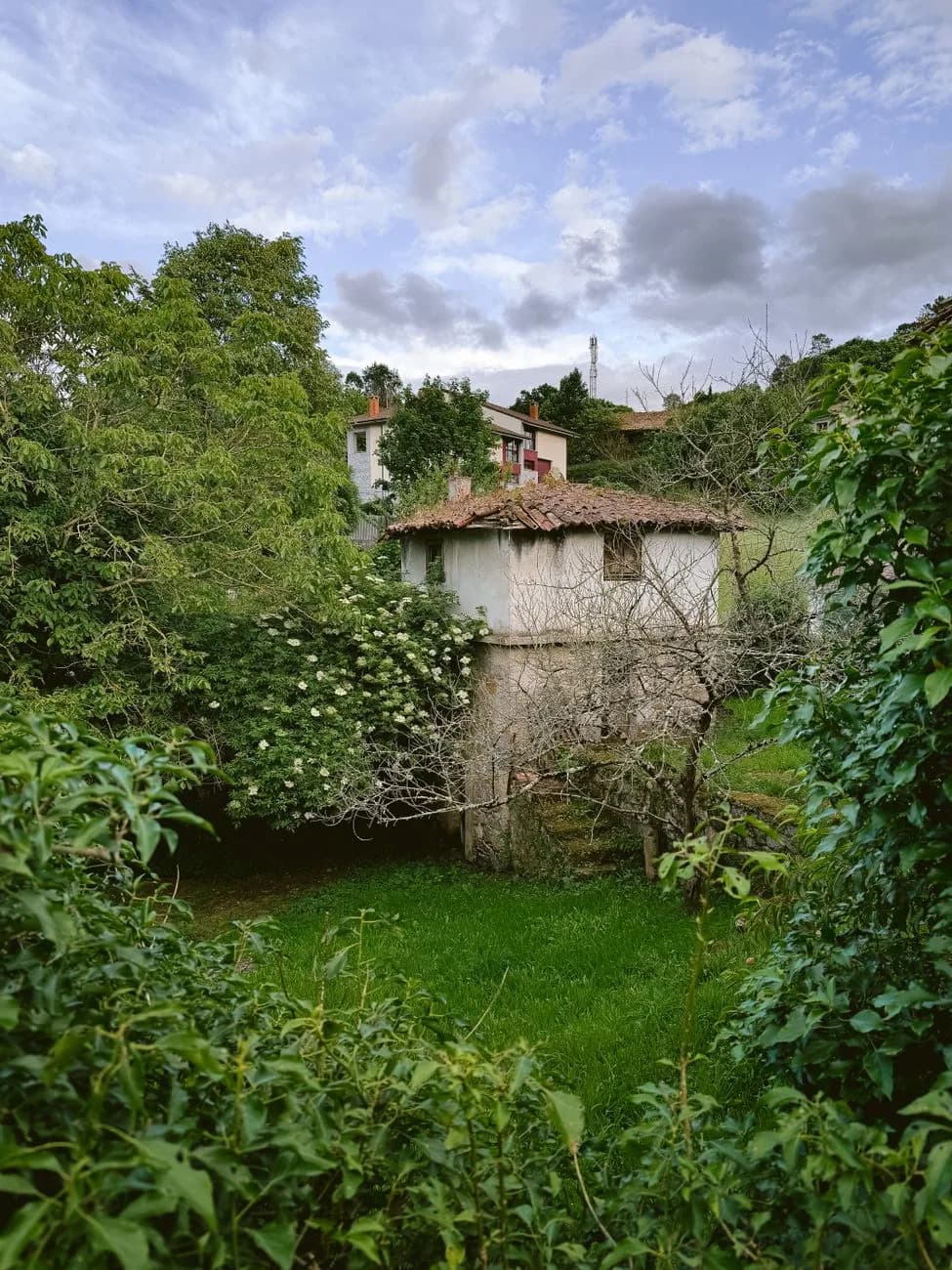 Montagna e sostenibilità, dalla Regione 4,6 milioni per le nuove Green Communities in Calabria